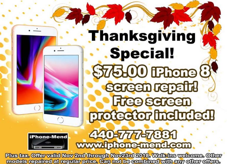 Thanksgiving special! North Olmsted Computer Repair